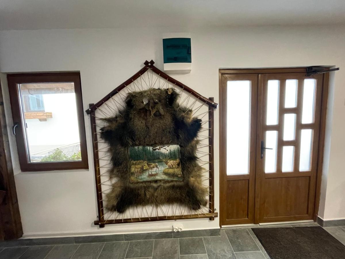 Pensiunea Vis Alpin Belis Exterior photo