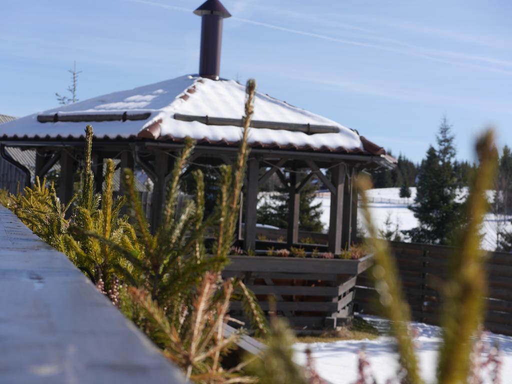 Pensiunea Vis Alpin Belis Exterior photo